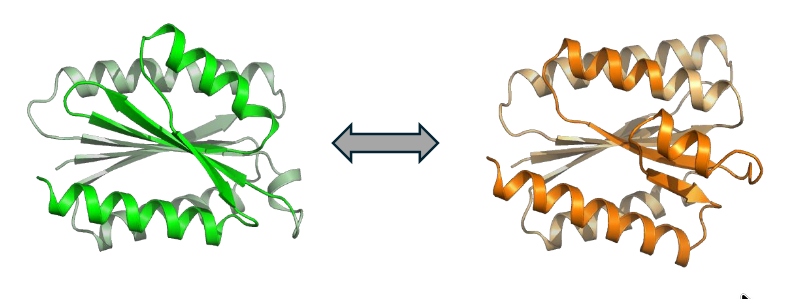 Description of Image